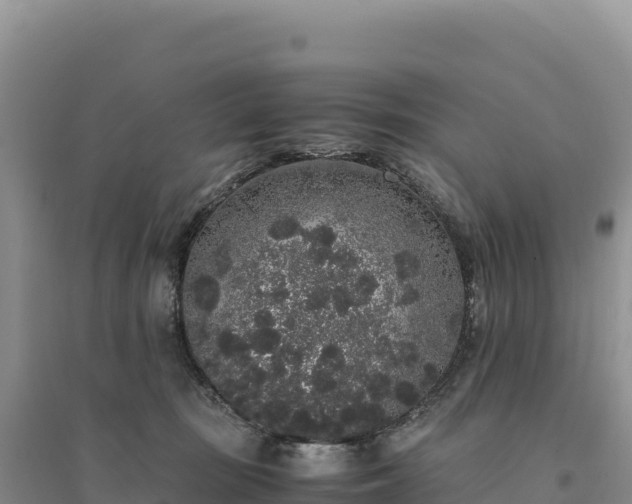 X0000094360371200711091520