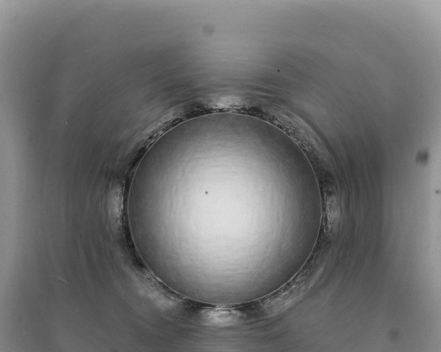 X0000094360372200711091520