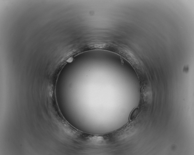 X0000094360374200711091520