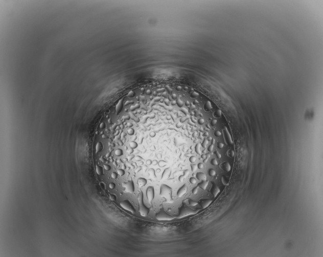 X0000094360375200711091520