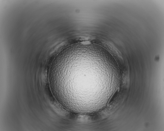 X0000094360376200711091520