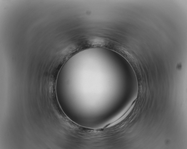 X0000094360379200711091520