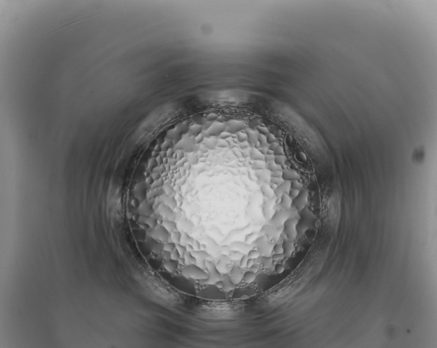 X0000094360381200711091520
