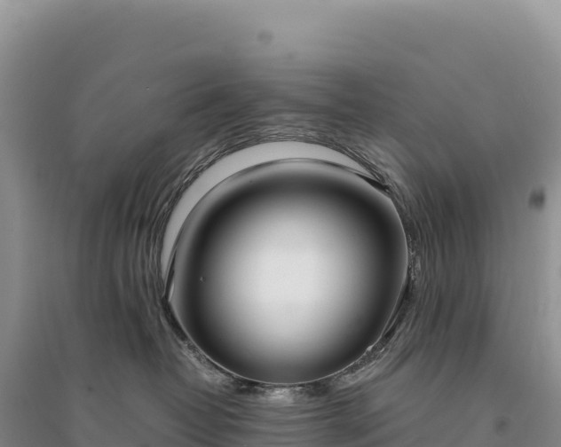 X0000094360382200711091520