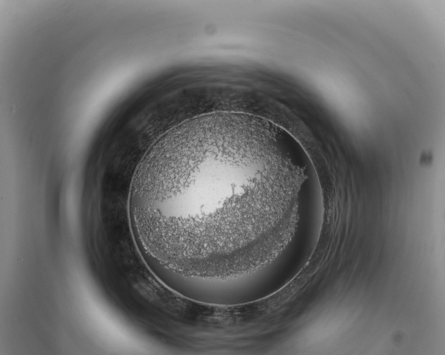 X0000094360383200711091520