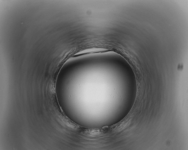 X0000094360384200711091520