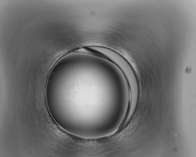 X0000094360385200711091520