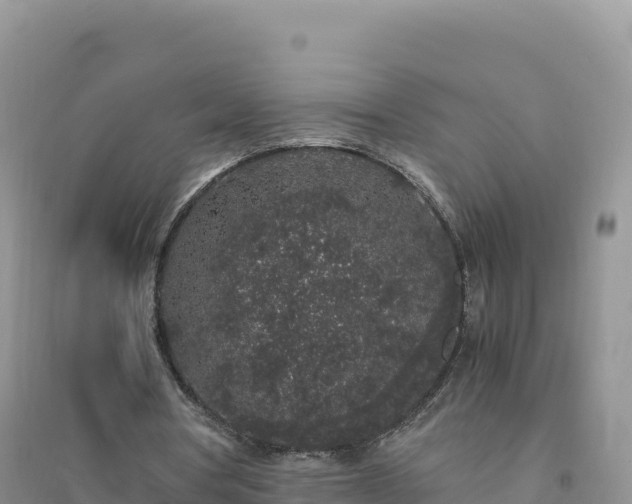 X0000094360386200711091520