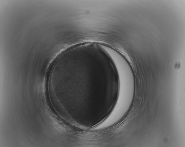 X0000094360387200711091520