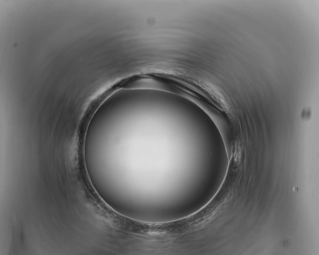 X0000094360388200711091520