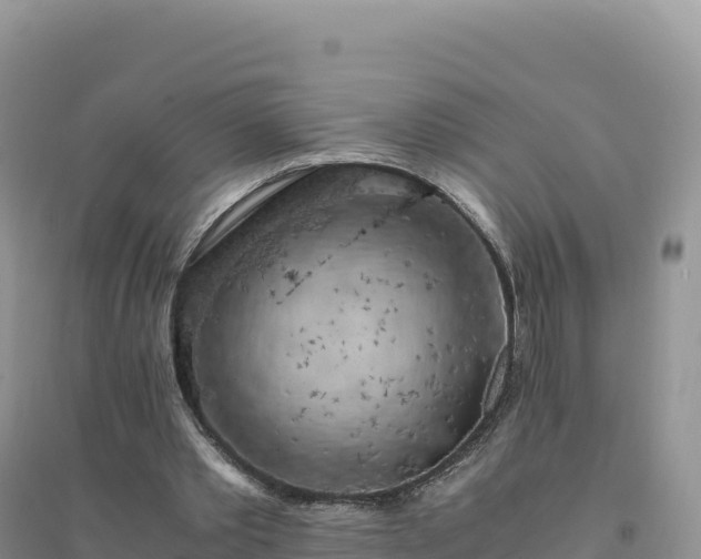 X0000094360389200711091520