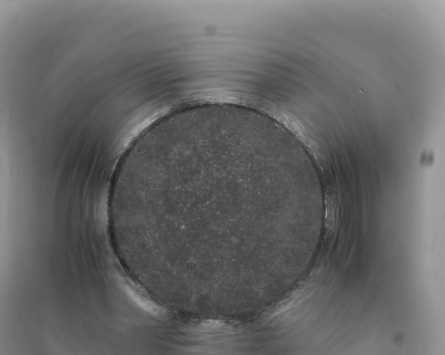 X0000094360390200711091520