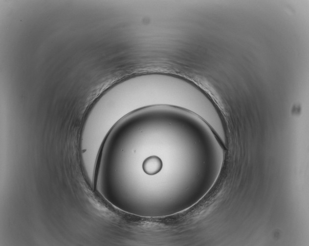 X0000094360393200711091520