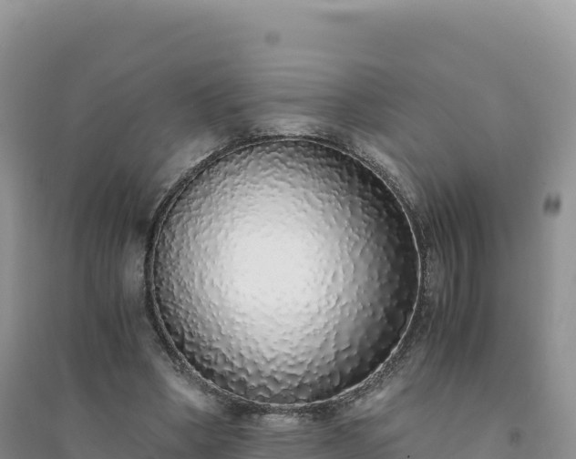 X0000094360394200711091520