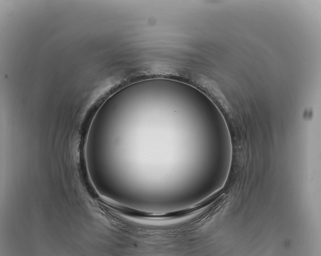 X0000094360395200711091520