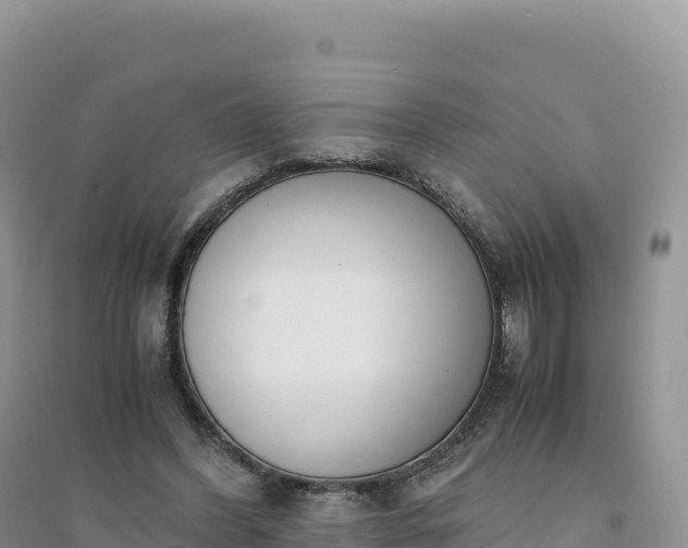X0000094360396200711091520