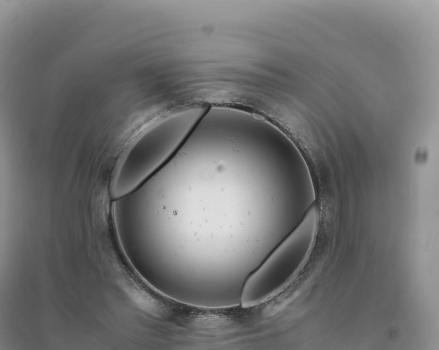 X0000094360397200711091519