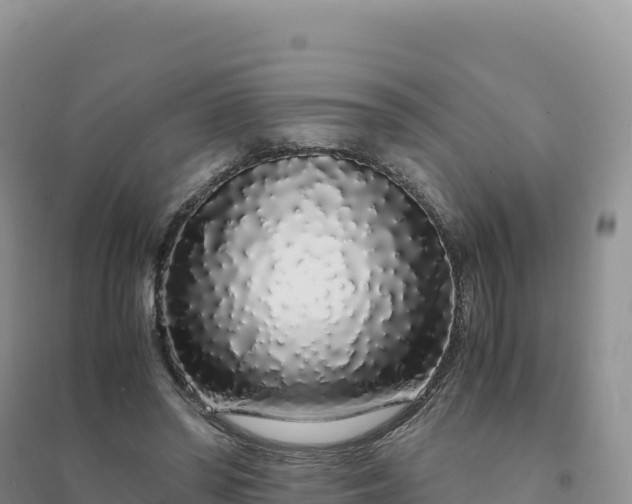 X0000094360398200711091519