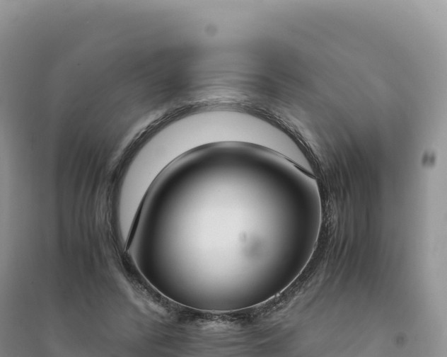 X0000094360400200711091519