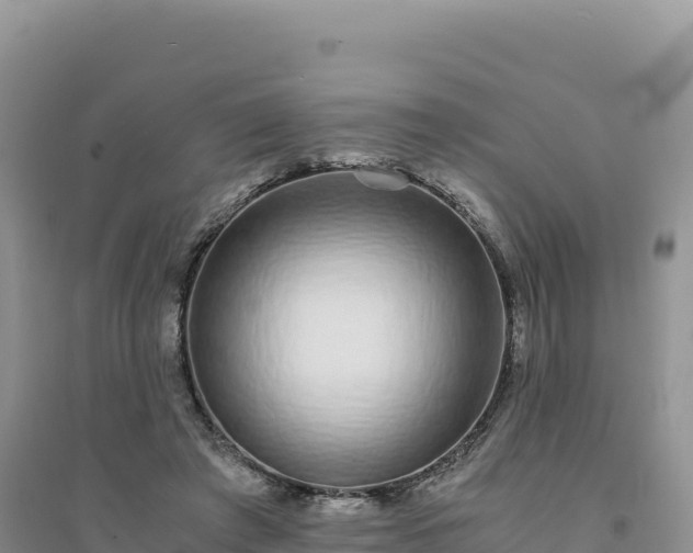 X0000094360401200711091519
