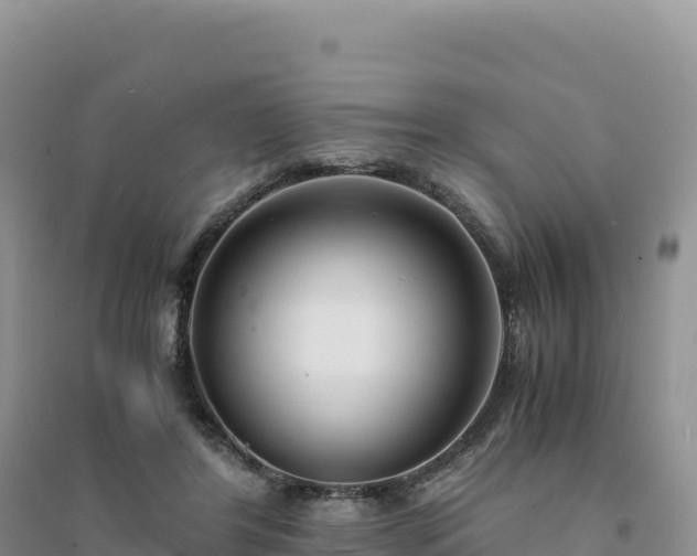 X0000094360404200711091519
