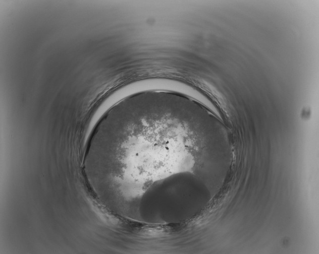X0000094360405200711091519