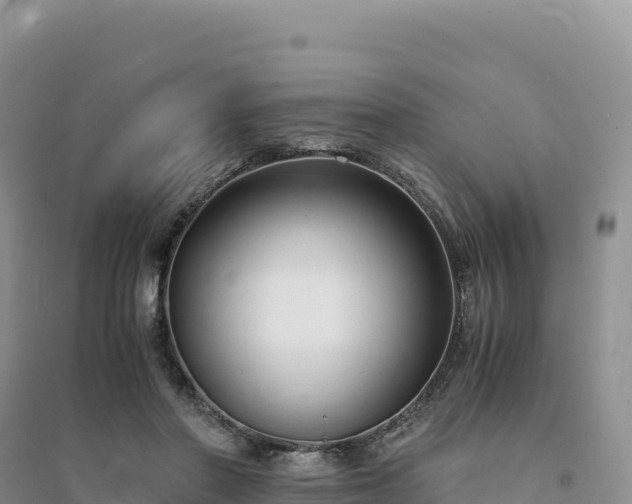 X0000094360406200711091519