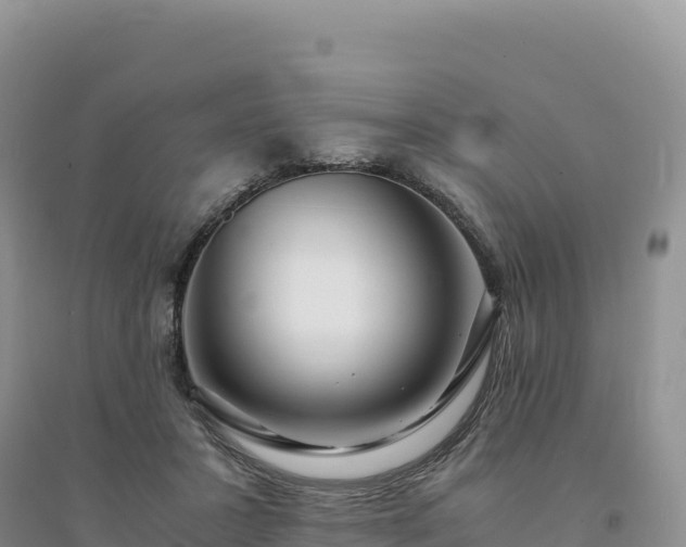 X0000094360407200711091519