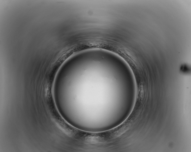 X0000094360408200711091519