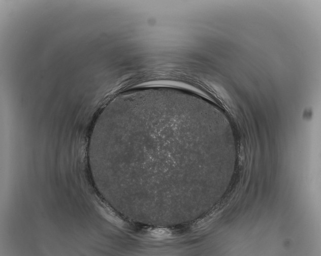 X0000094360409200711091519