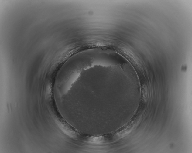 X0000094360410200711091519