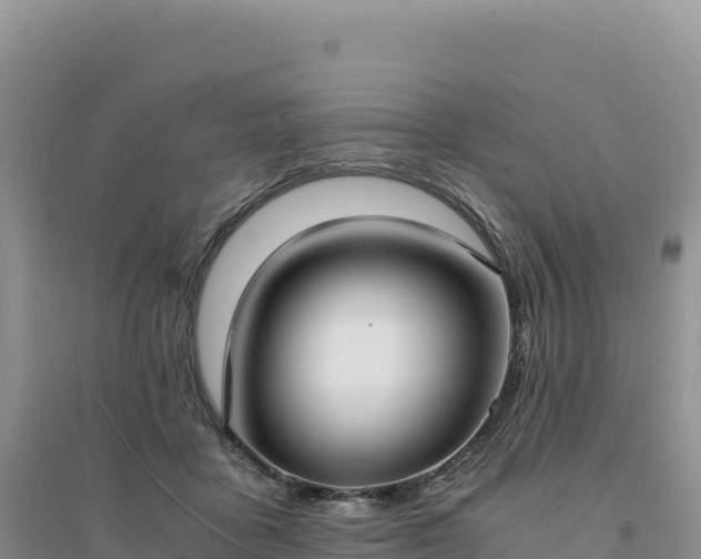 X0000094360411200711091519