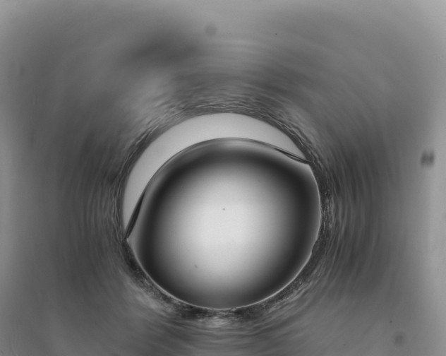 X0000094360412200711091519