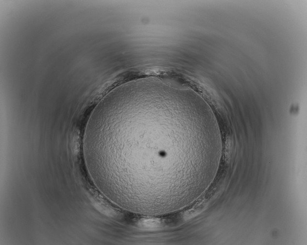 X0000094360413200711091519