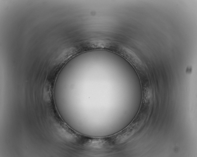 X0000094360414200711091519