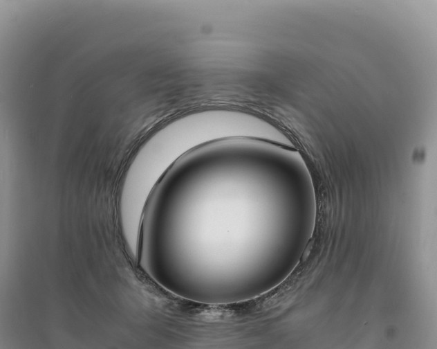X0000094360415200711091519