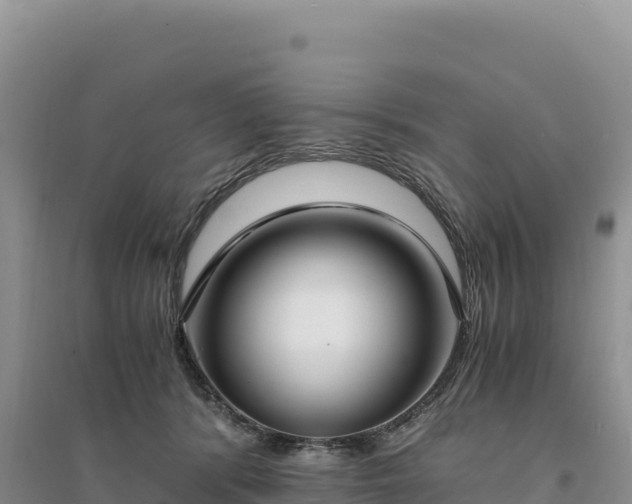 X0000094360416200711091519