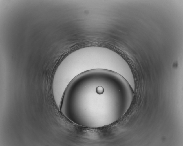 X0000094360417200711091519