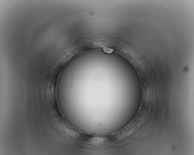 X0000094360418200711091519