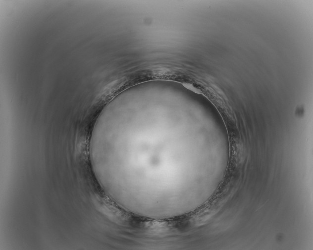 X0000094360419200711091519