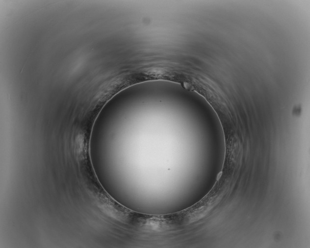 X0000094360420200711091519