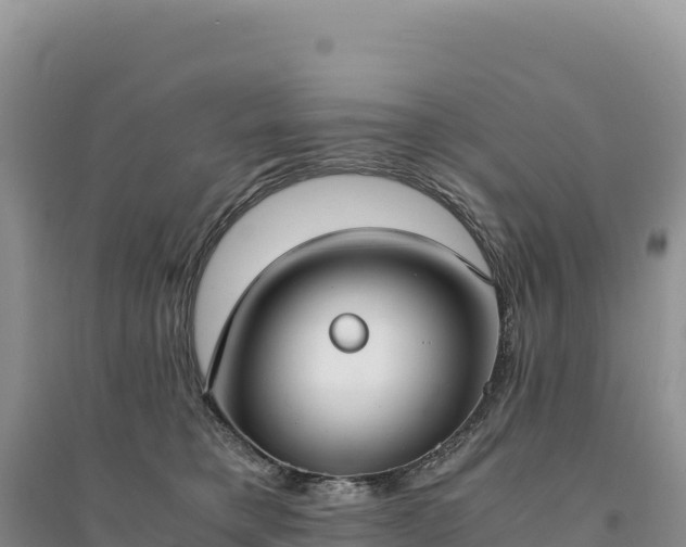 X0000094360421200711091519