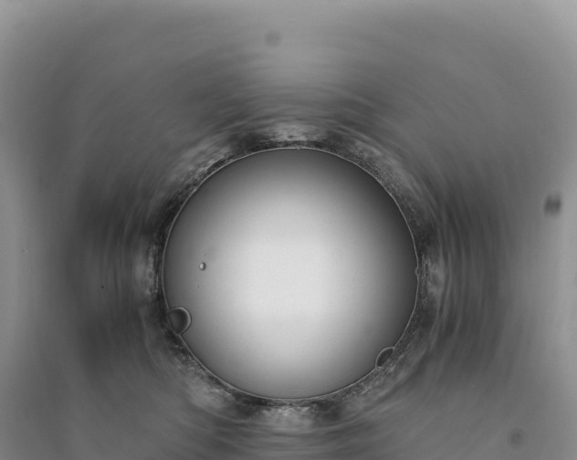 X0000094360422200711091519
