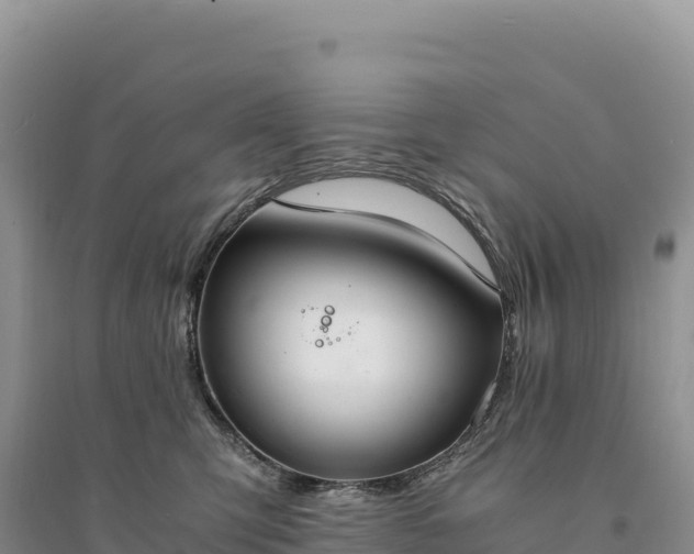 X0000094360423200711091519