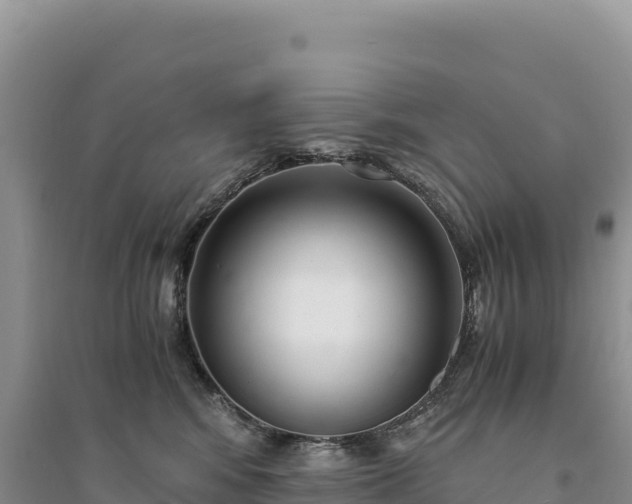 X0000094360424200711091519