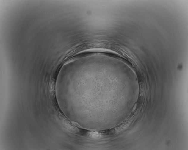 X0000094360425200711091519