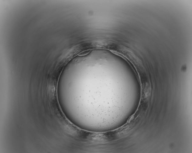 X0000094360427200711091519