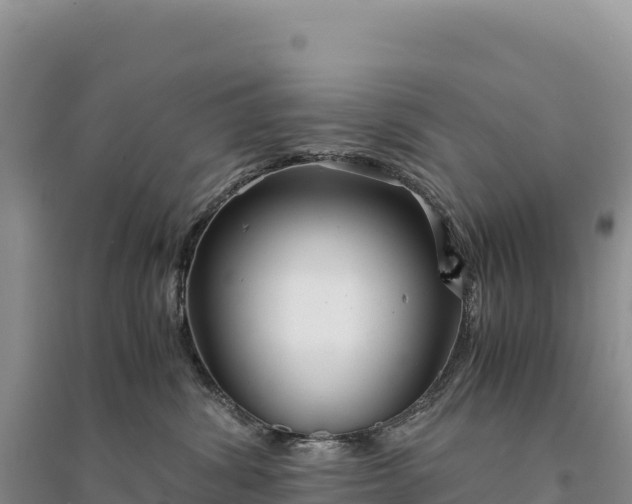 X0000094360428200711091519