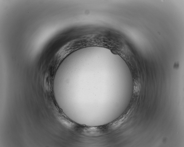 X0000094360431200711091519