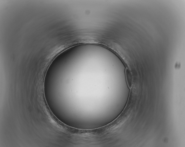 X0000094360433200711091518